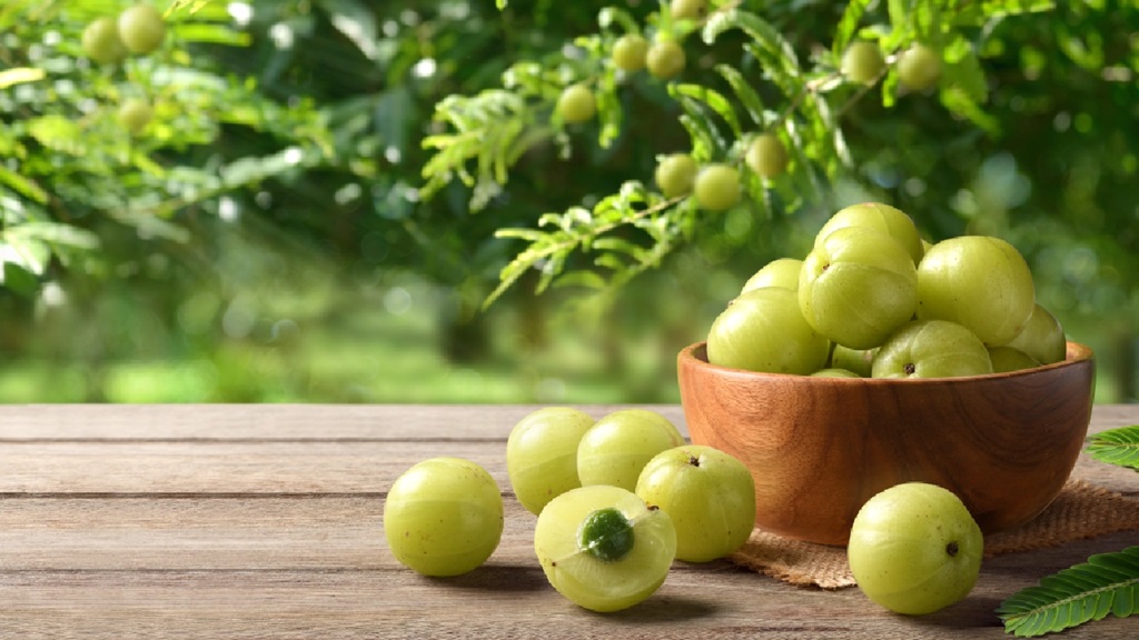 Health benefits of Gooseberry (Amla)