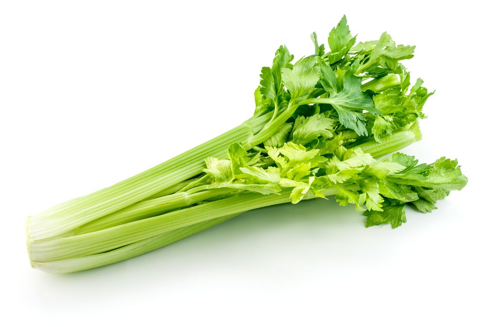 Health Benefits of Celery