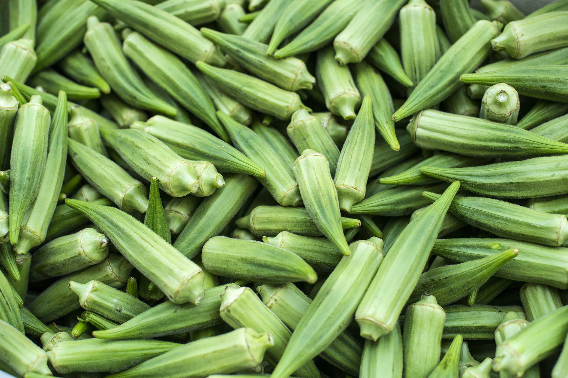 Health Benefits of Okra