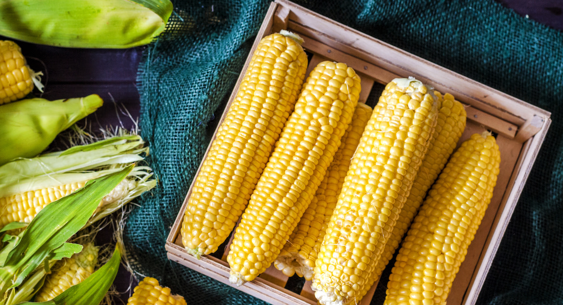 Health benefits of corn (sweet corn)